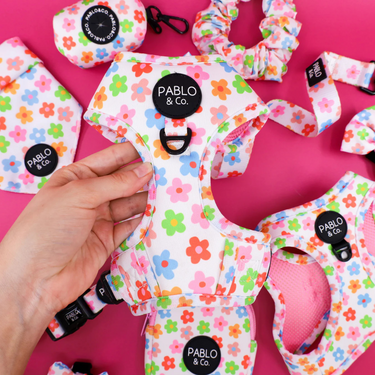 Posy: Adjustable Harness