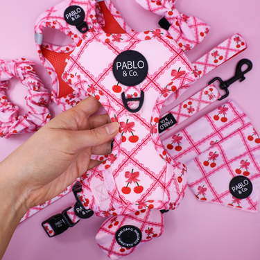 Ma chérie: Adjustable Harness