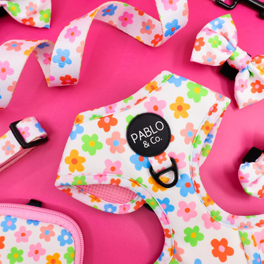 Posy: Adjustable Harness