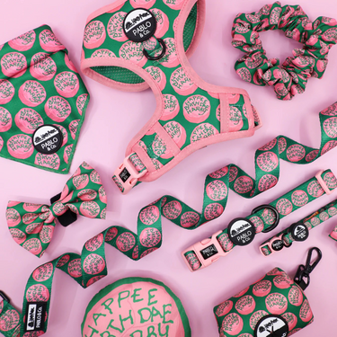 Happee Birthdae Harry: Adjustable Harness