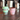 Baby Chino Cup 4oz - Dino