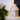 LED CERAMIC HOUSE