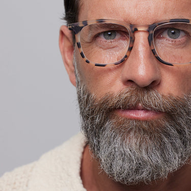 Reading Collection E - Light Tortoise