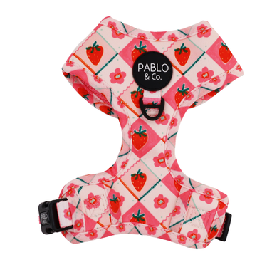 Strawberry Patch: Adjustable Harness: Large