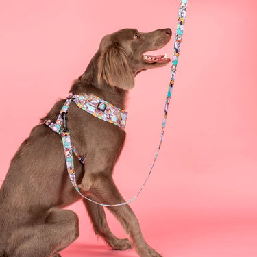 Up: Adjustable Harness: Large