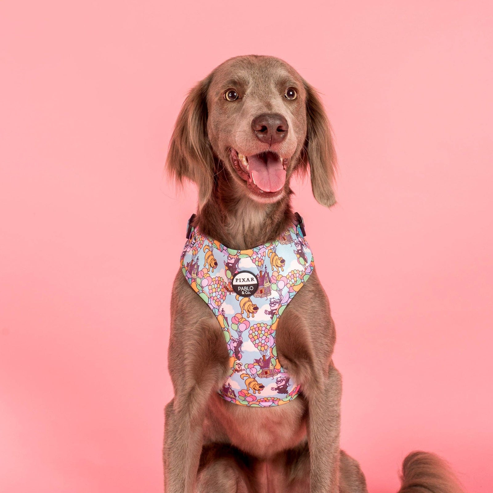 Up: Adjustable Harness