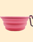 Collapsible Dog Water Bowl