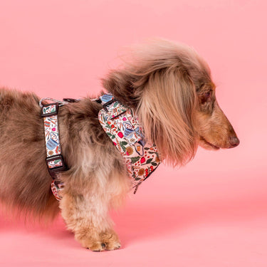 Farmers Market: Adjustable Harness: Small