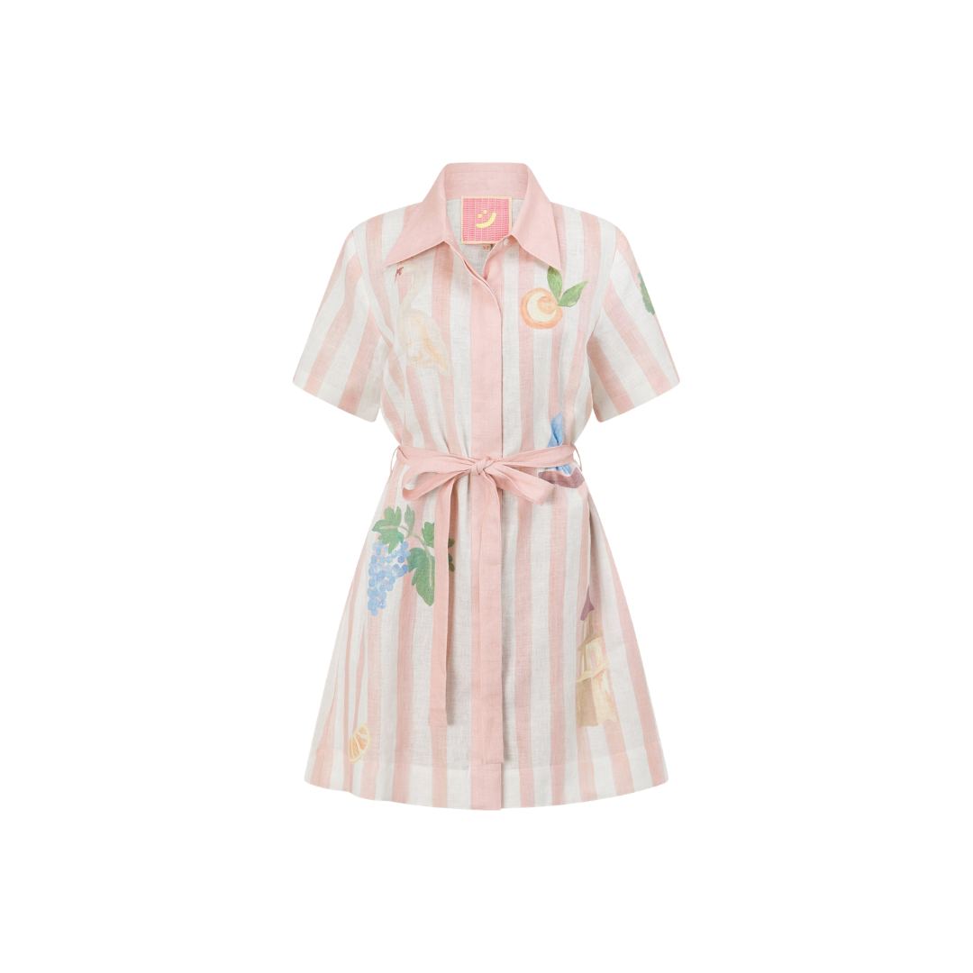 Boat Days Mini Shirt Dress
