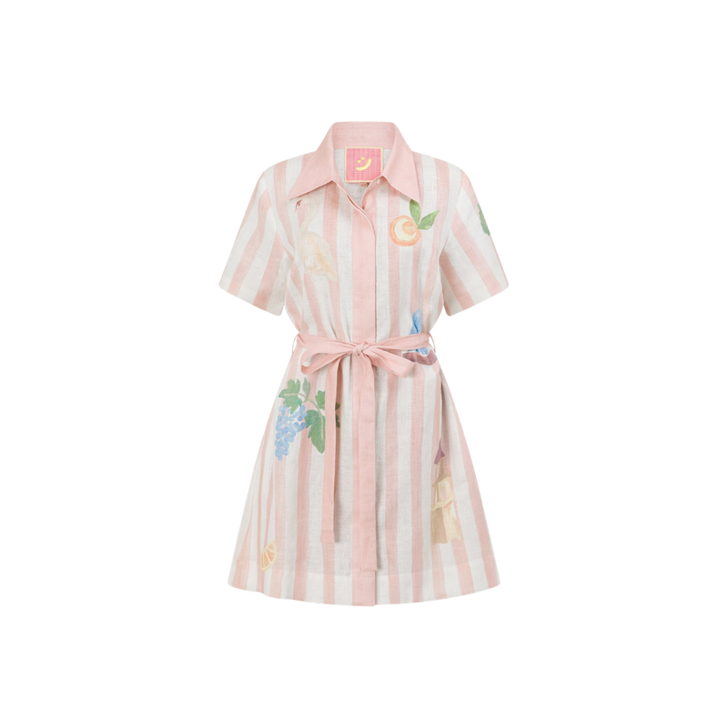 Boat Days Mini Shirt Dress