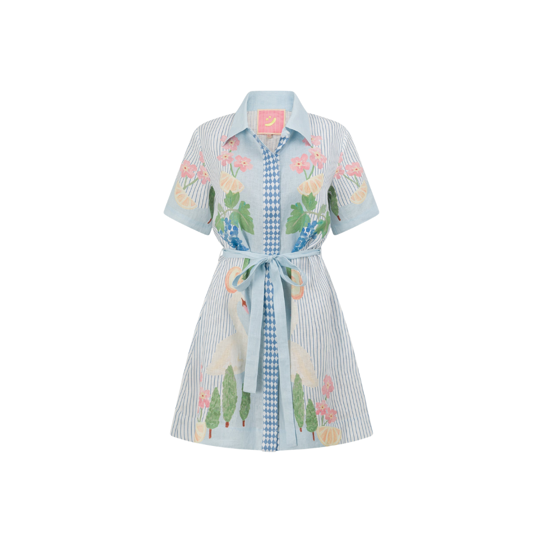 Swan Lake Mini Shirt Dress