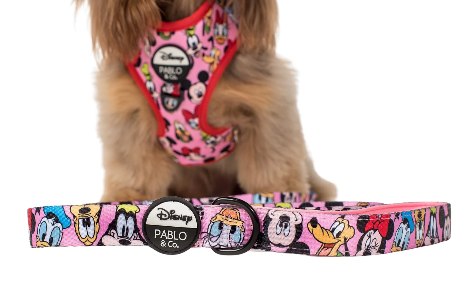 Mickey & Friends - Dog Leash