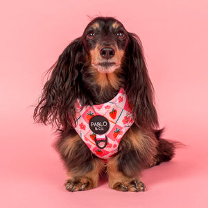 Strawberry Patch: Adjustable Harness: XS