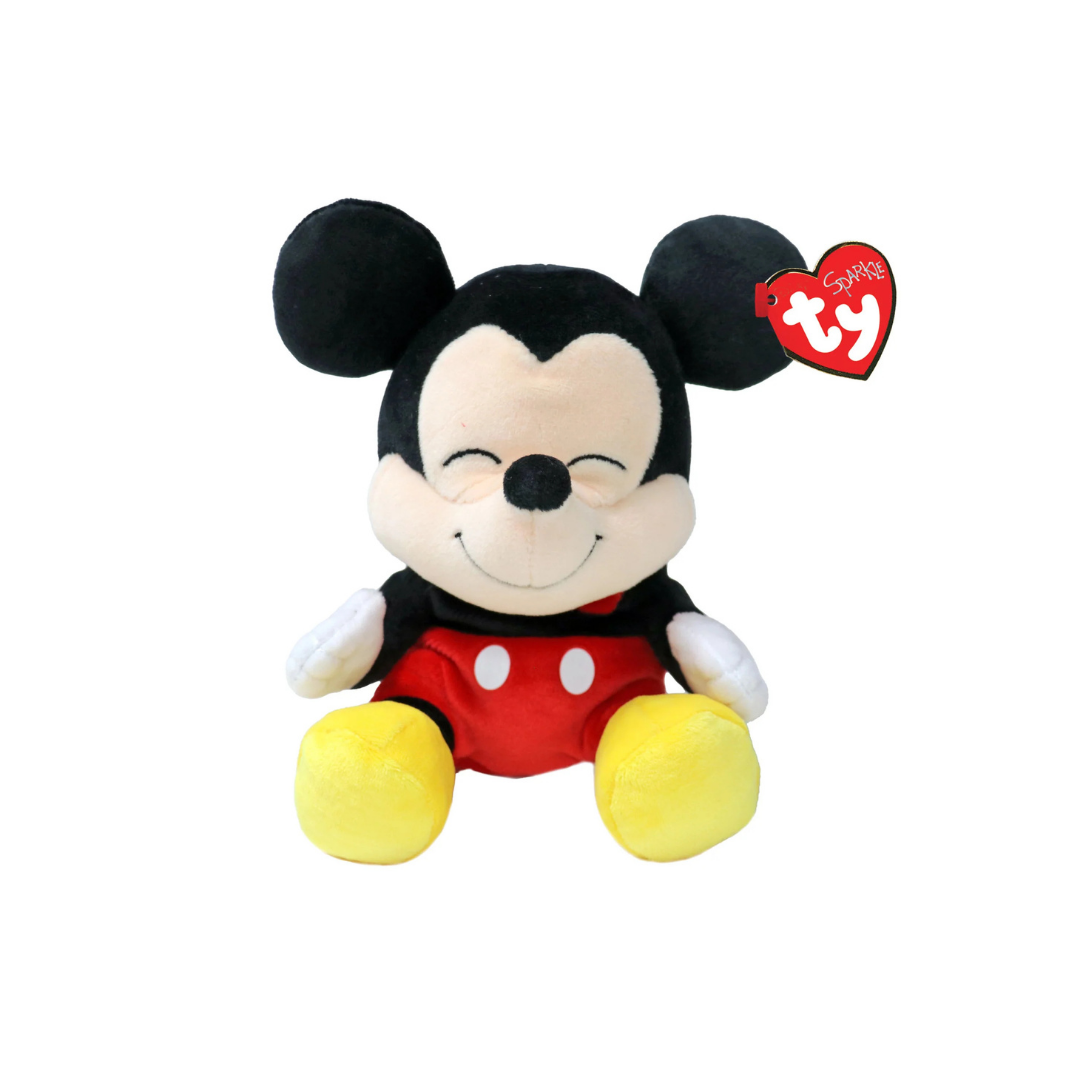 Mickey Mouse - Floppy Reg