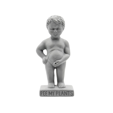 Pee My Plants Watering Decoration Grey