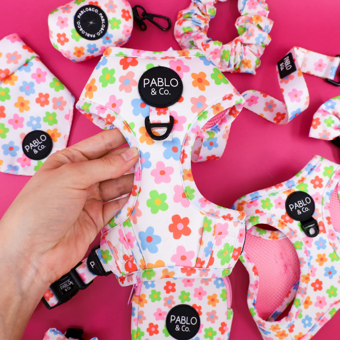 Posy: Adjustable Harness