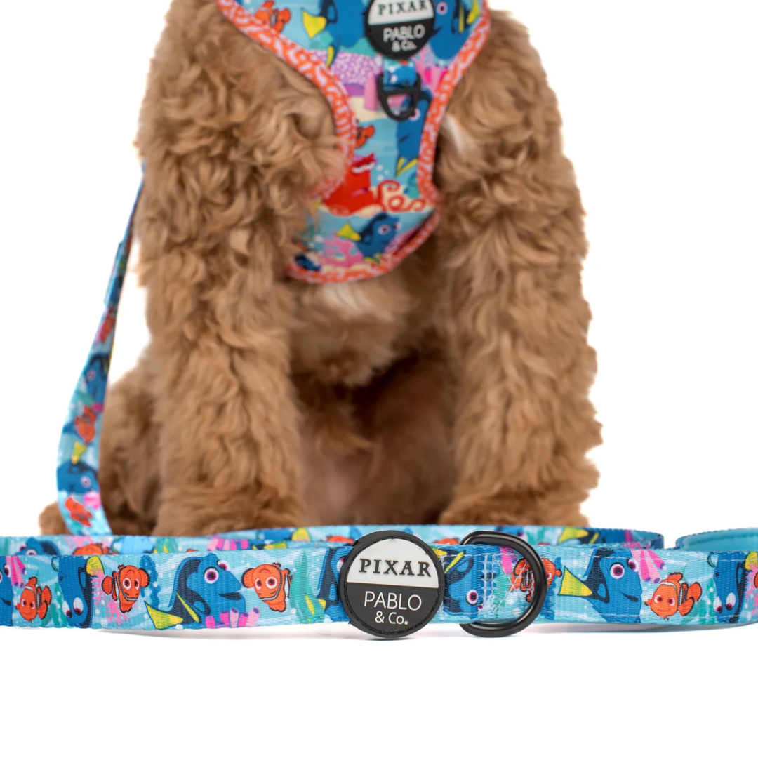 Finding Nemo: Dog Leash