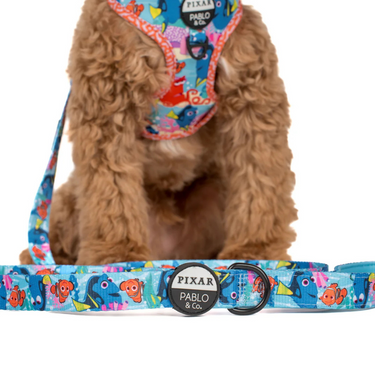 Finding Nemo: Dog Leash