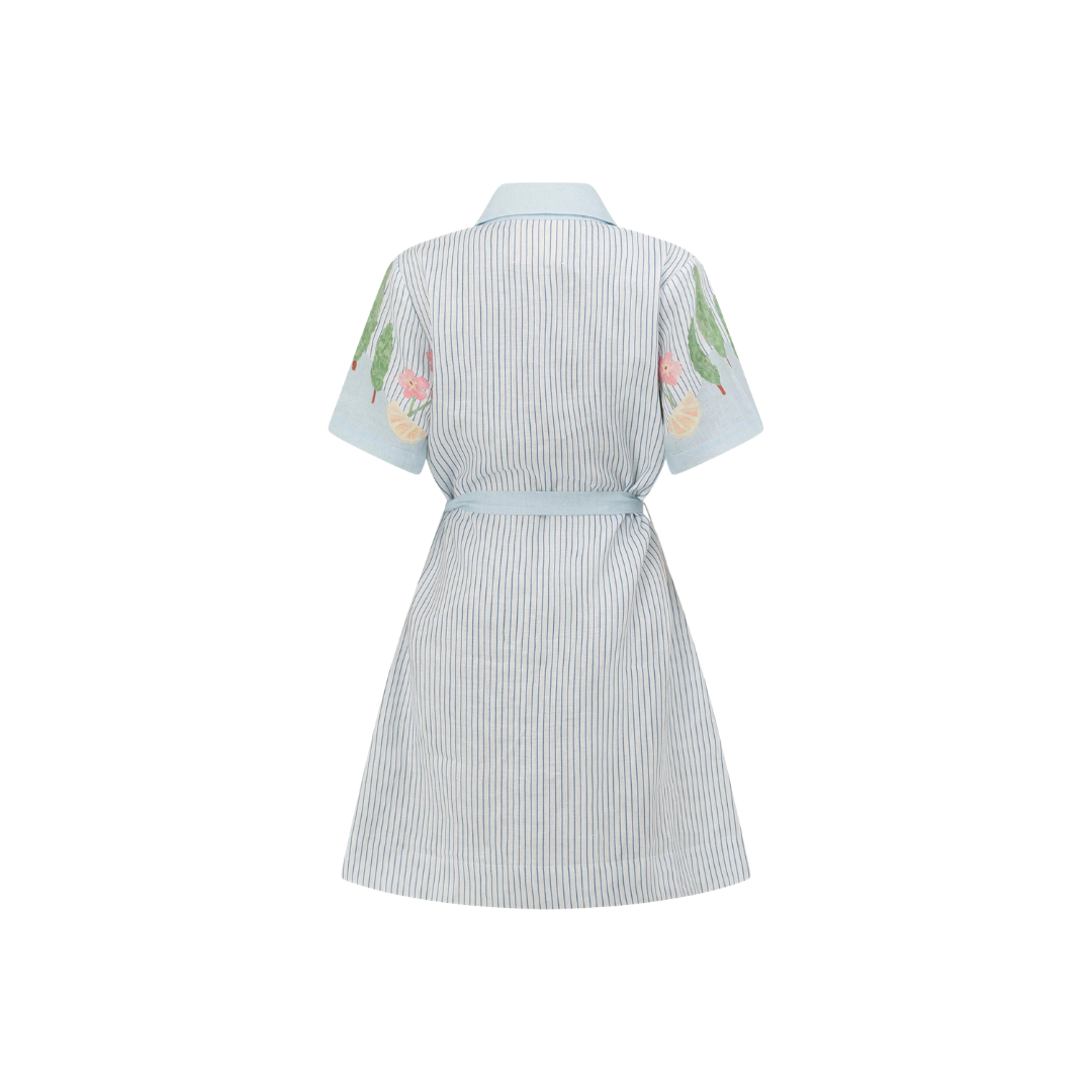 Swan Lake Mini Shirt Dress