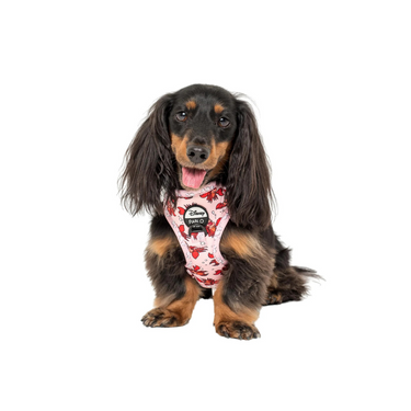 The Little Mermaid - Sebastian: Adjustable Harness
