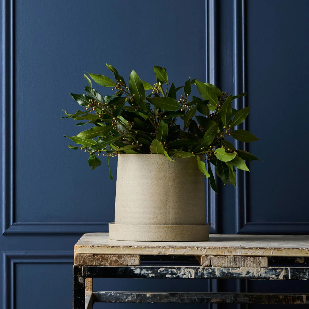 Plant Pot - White Garden To Table