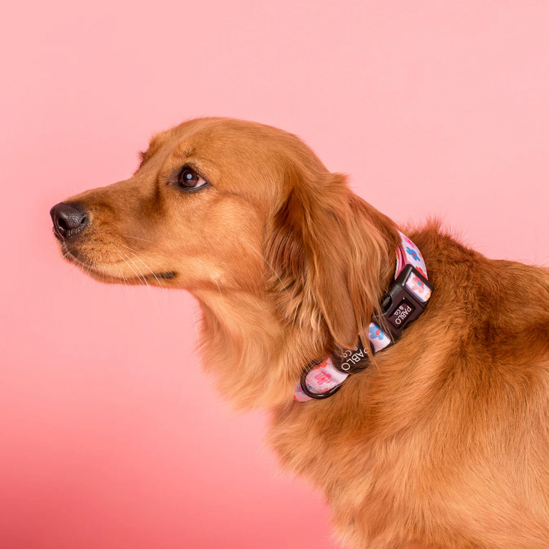 Posy: Collar