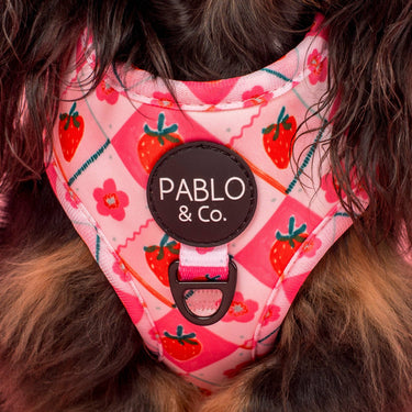 Strawberry Patch: Adjustable Harness: Large