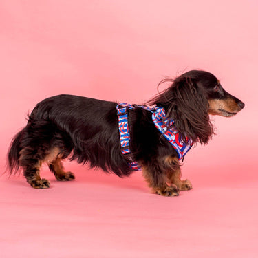 Hot Chillies: Adjustable Harness: Medium