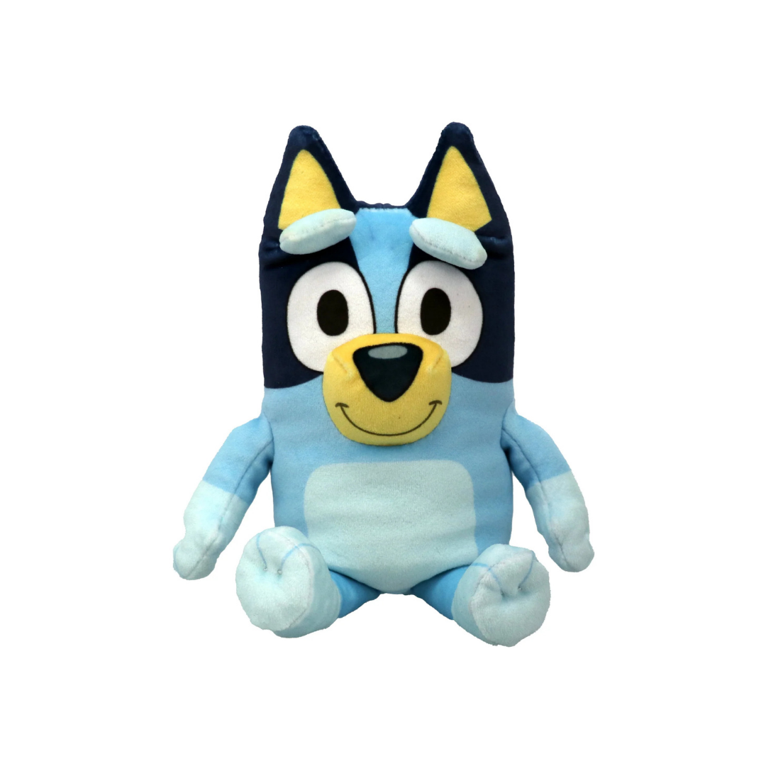 Bluey - Floppy Reg