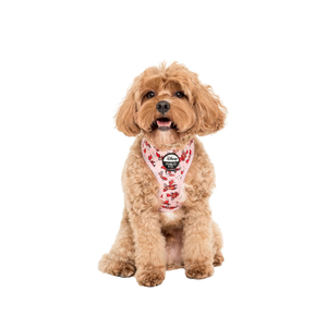 The Little Mermaid - Sebastian: Adjustable Harness