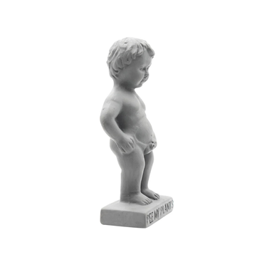 Pee My Plants Watering Decoration Grey