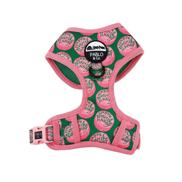 Happee Birthdae Harry: Adjustable Harness