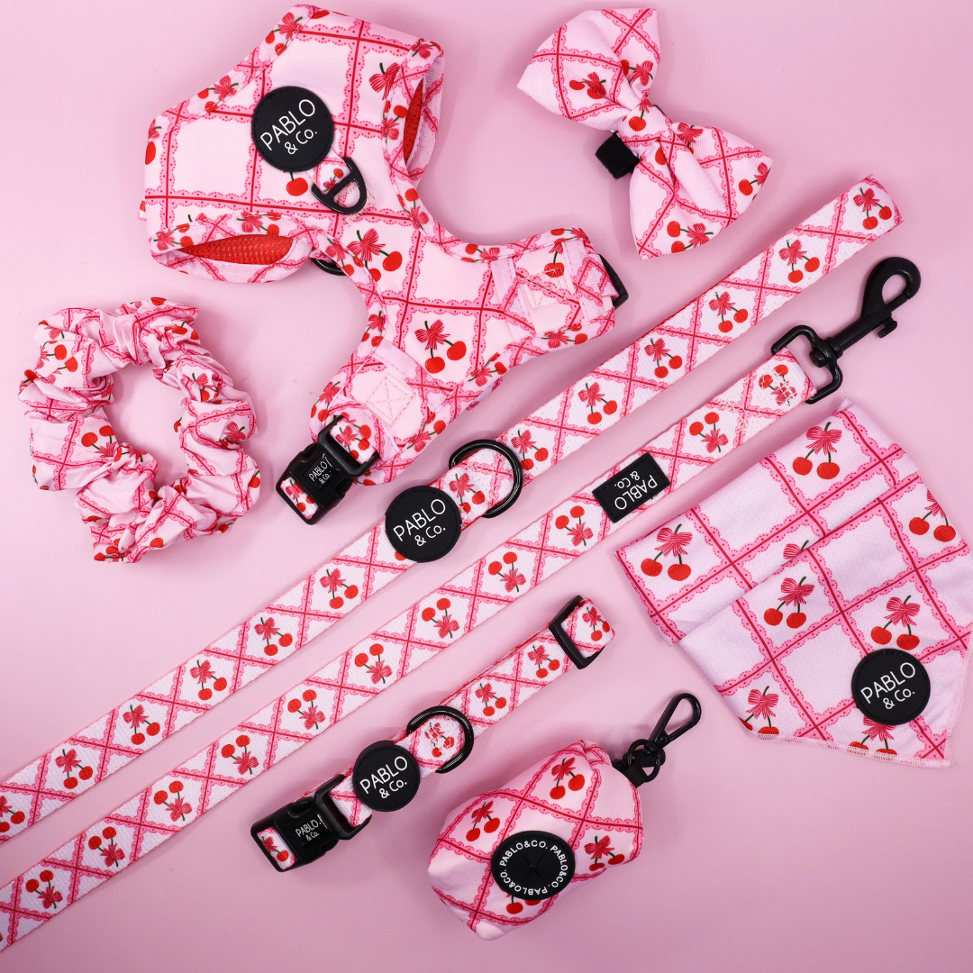 Ma chérie: Adjustable Harness