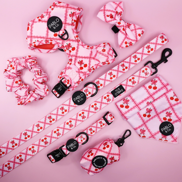 Ma chérie: Adjustable Harness