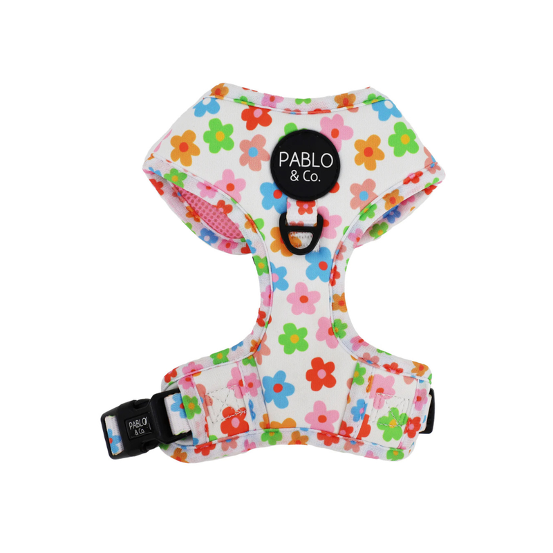 Posy: Adjustable Harness