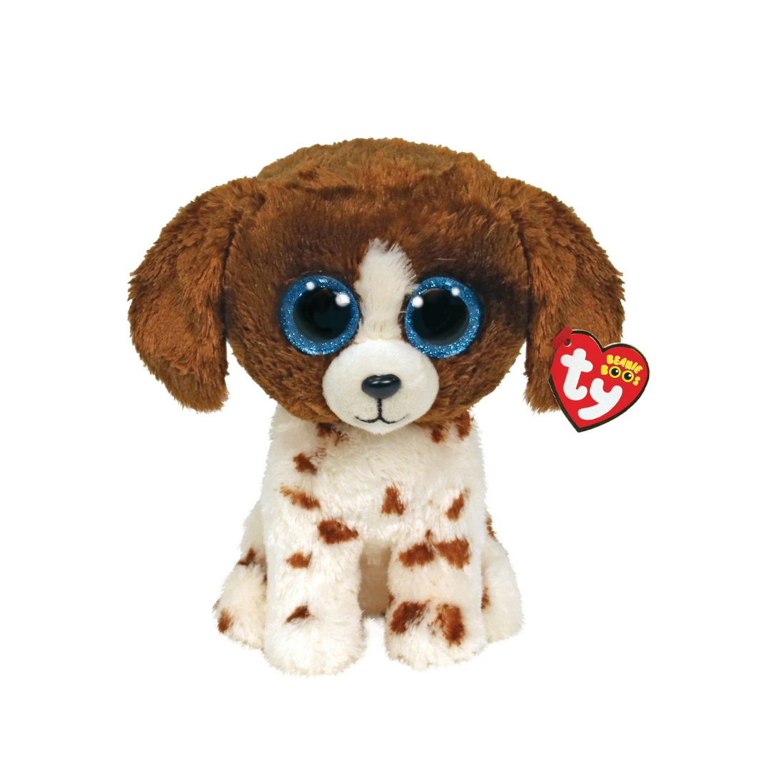 Muddles - Dog Brown Reg