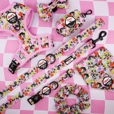 The Powerpuff Girls: Adjustable Harness