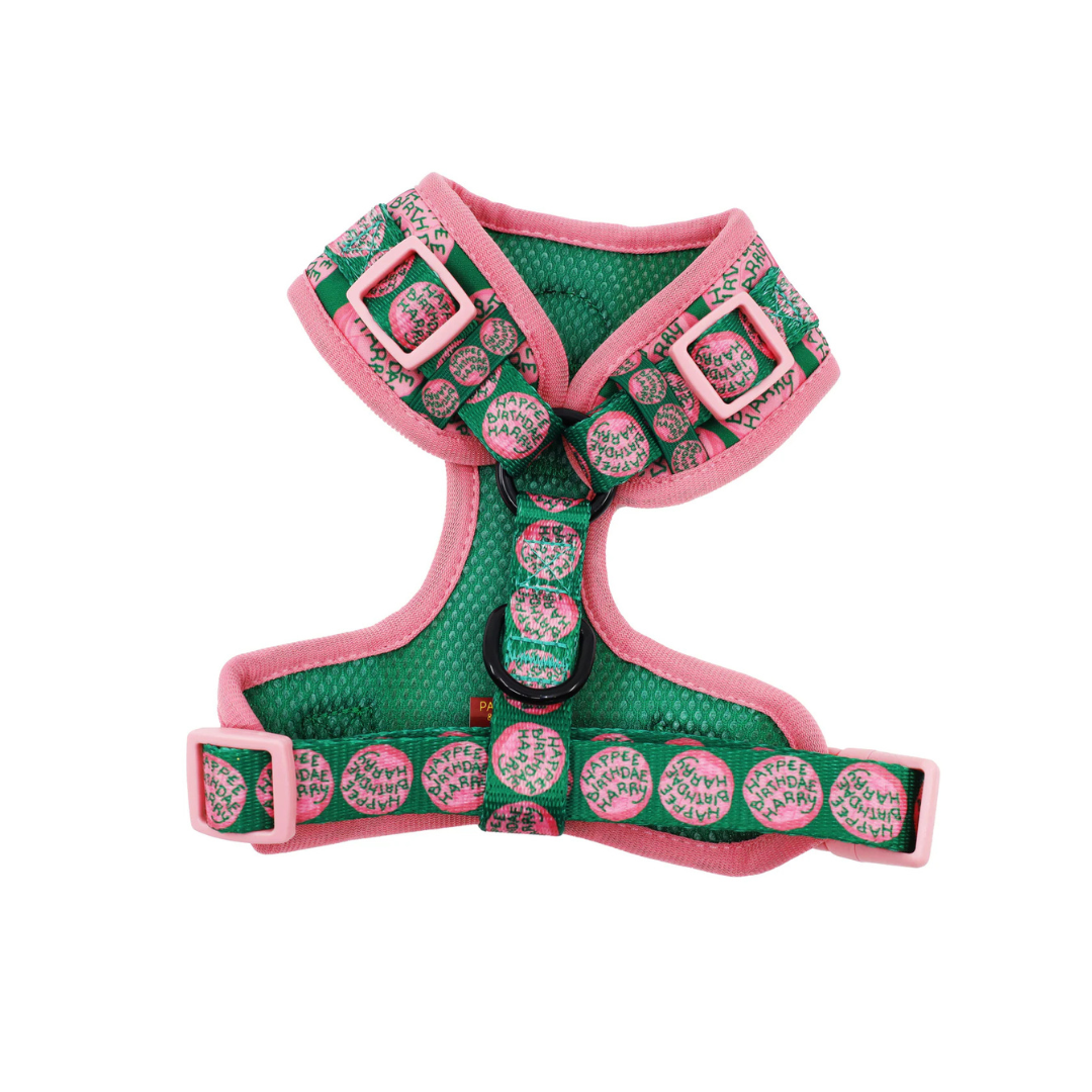 Happee Birthdae Harry: Adjustable Harness