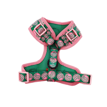 Happee Birthdae Harry: Adjustable Harness