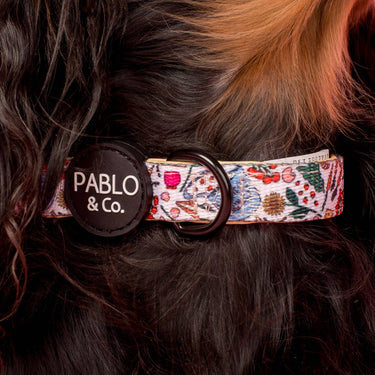 Farmers Market: Collar: XS