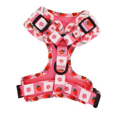 Strawberry Patch: Adjustable Harness: Large