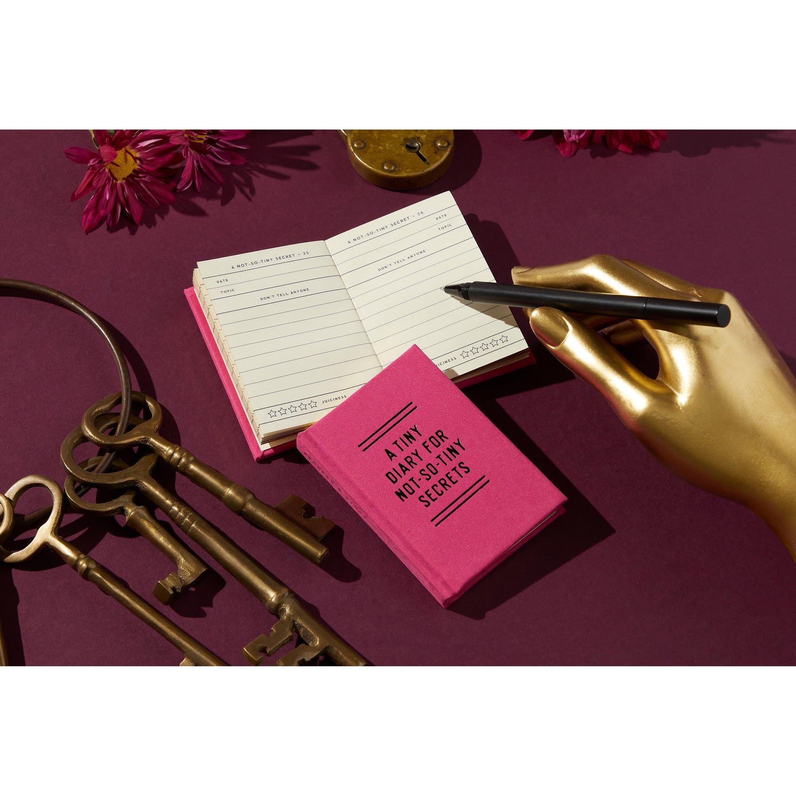 Tiny Diary for Not So Tiny Secrets