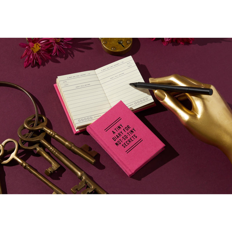 Tiny Diary for Not So Tiny Secrets