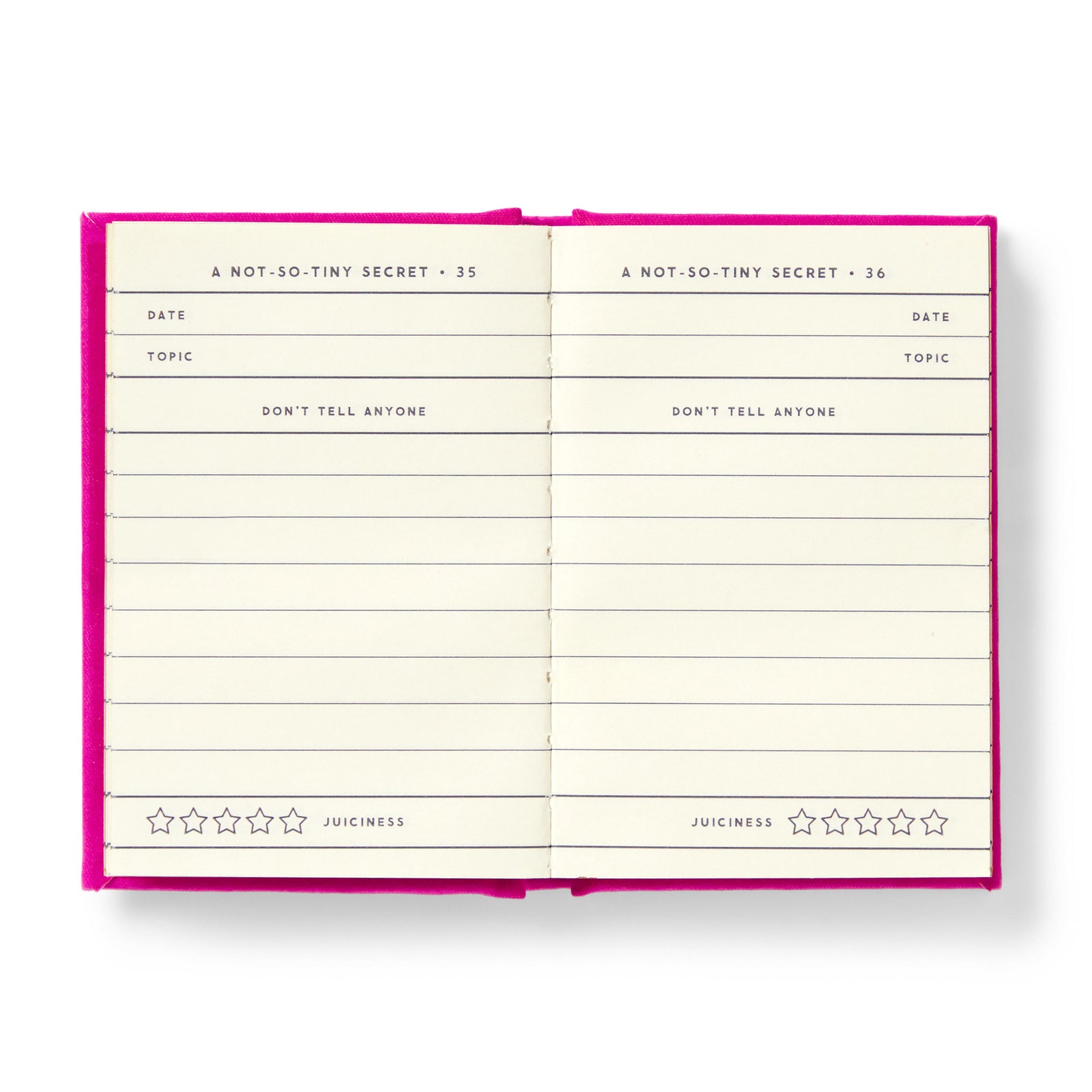 Tiny Diary for Not So Tiny Secrets
