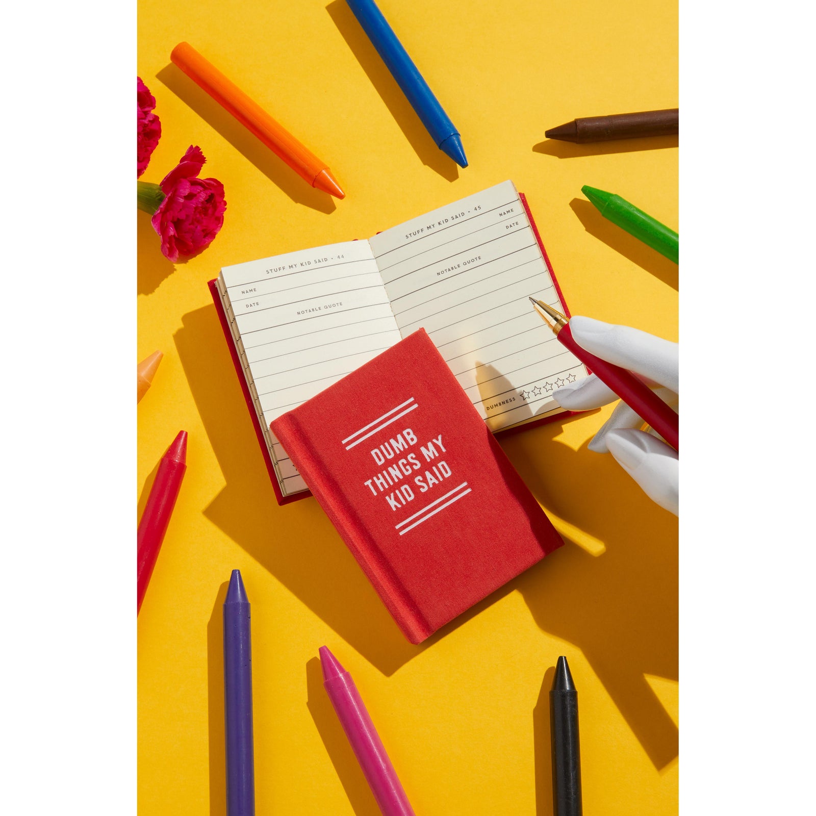 Dumb Things My Kid Said Tiny Diary