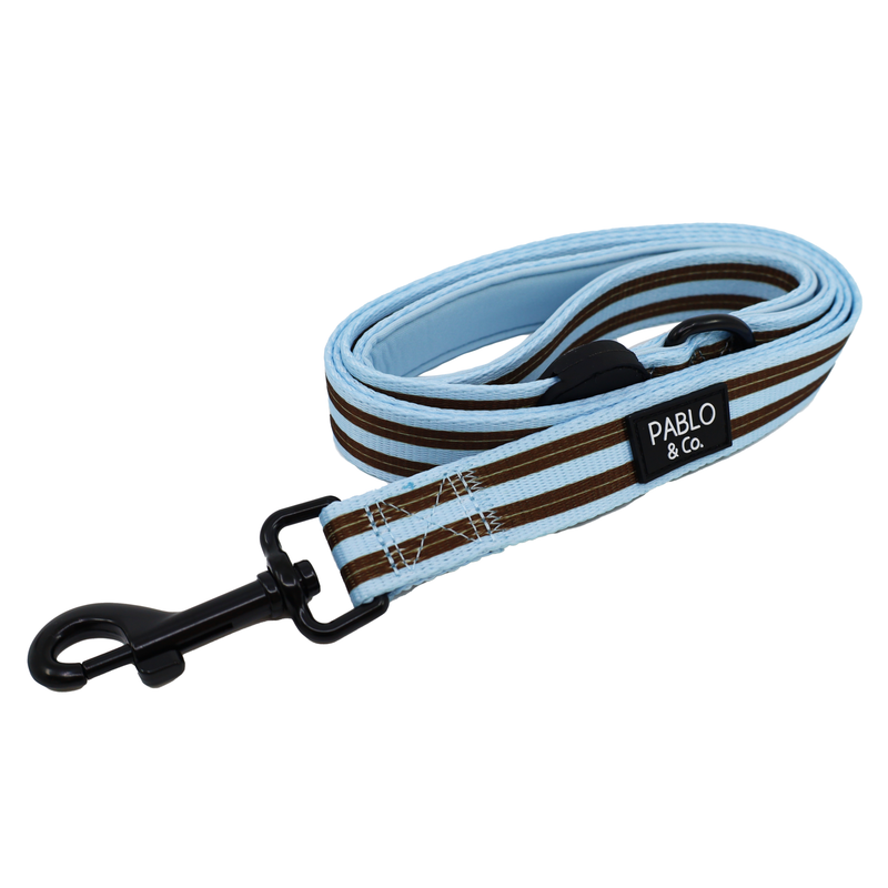 Sunday Stripes: Dog Leash: Large