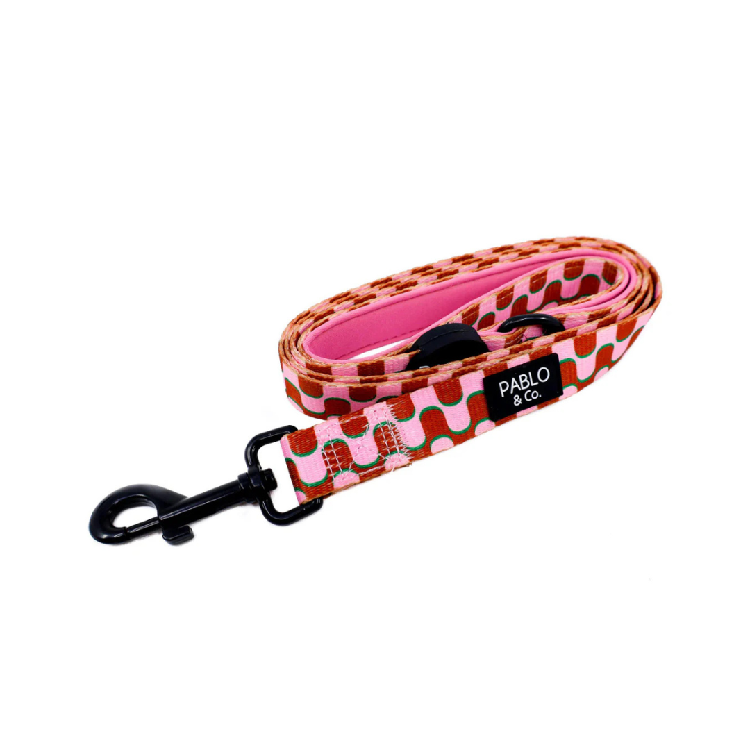 Mod Madness: Dog Leash