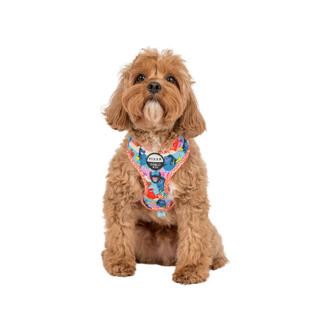 Finding Nemo: Adjustable Harness