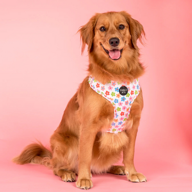 Posy: Adjustable Harness