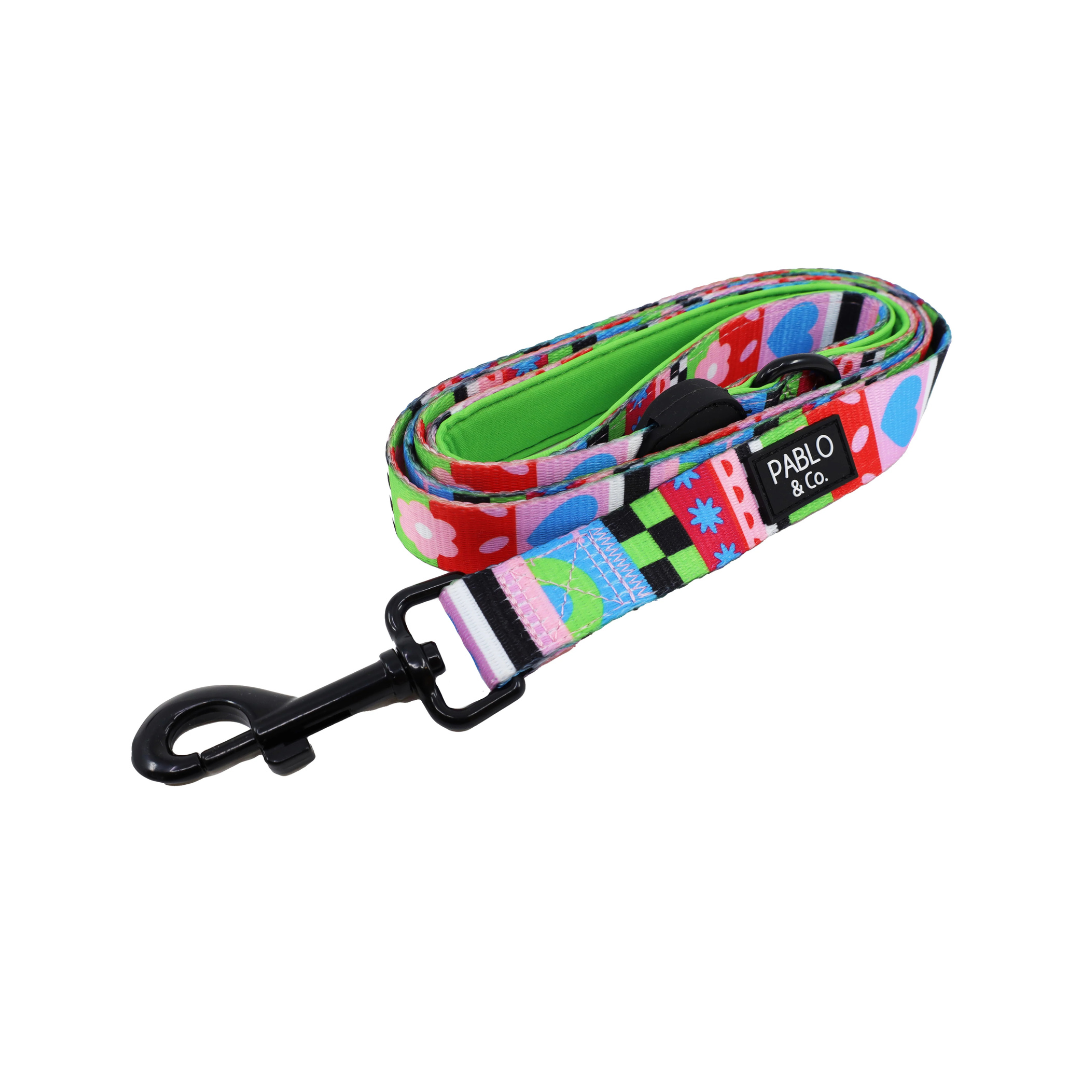 Saint's Sweater: Dog Leash